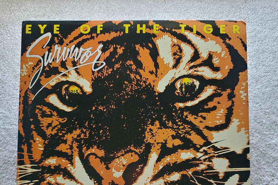 Eye of the Tiger Survivor album cover