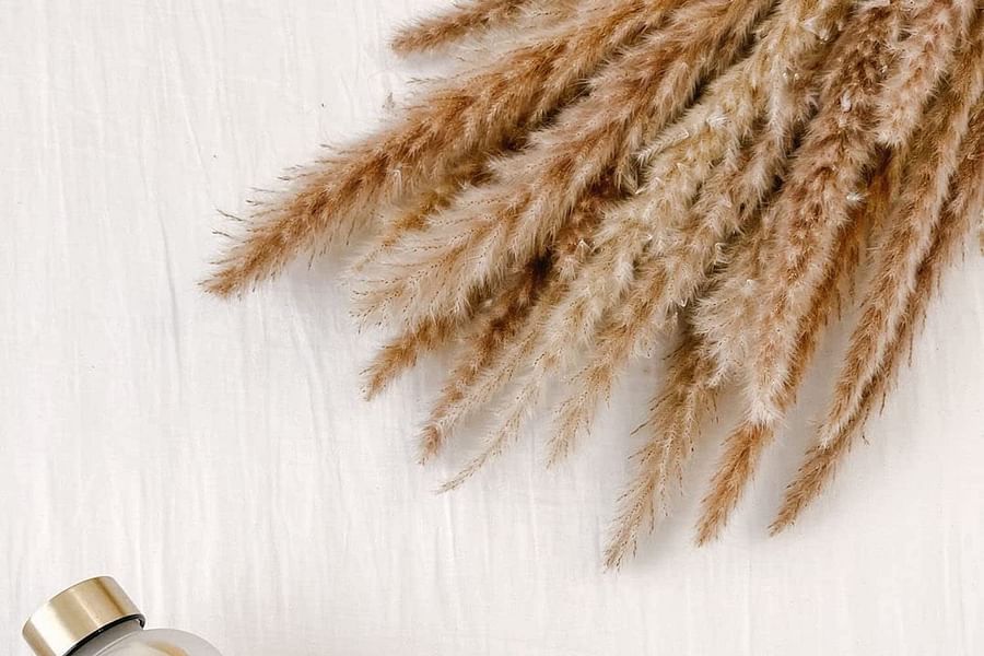 Pregnancy Water Bottle with Time Marker